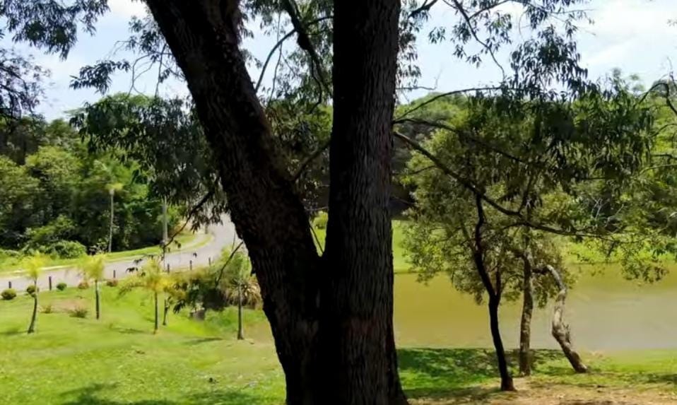 Casa, 3 quartos - Foto 30