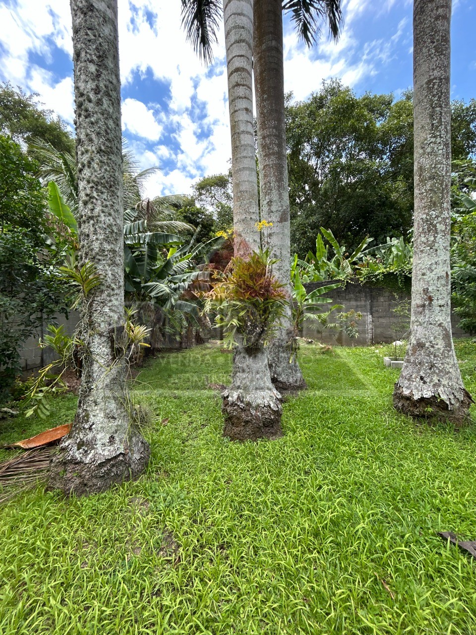 Casa, 3 quartos, 1062 m² - Foto 5