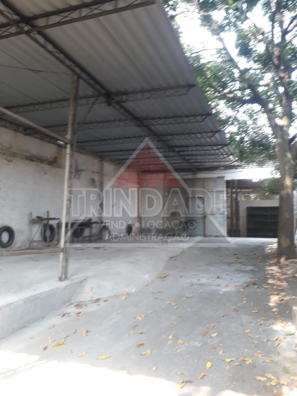 Depósito-Galpão, 1000 m² - Foto 4