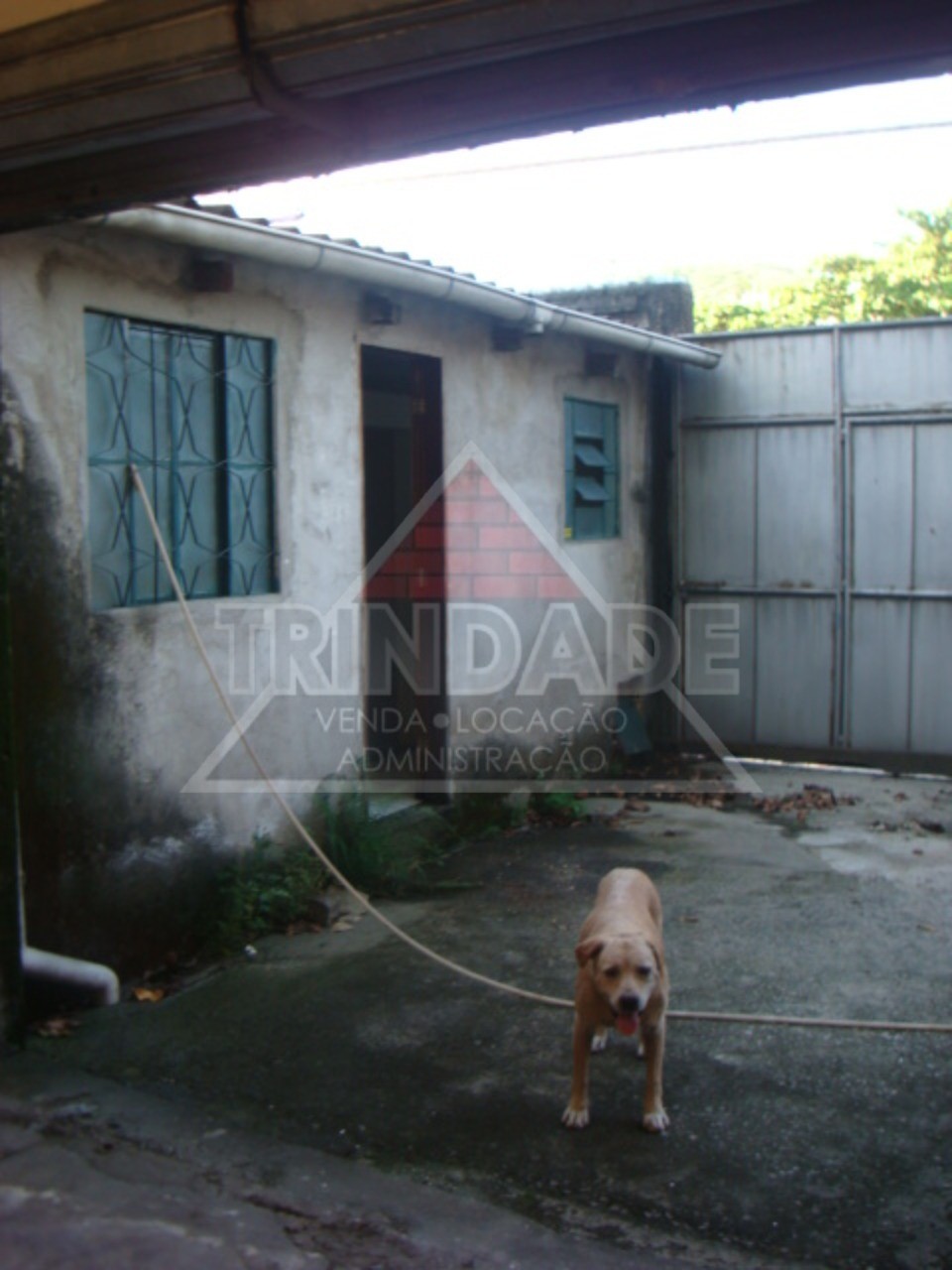 Depósito-Galpão, 1000 m² - Foto 27