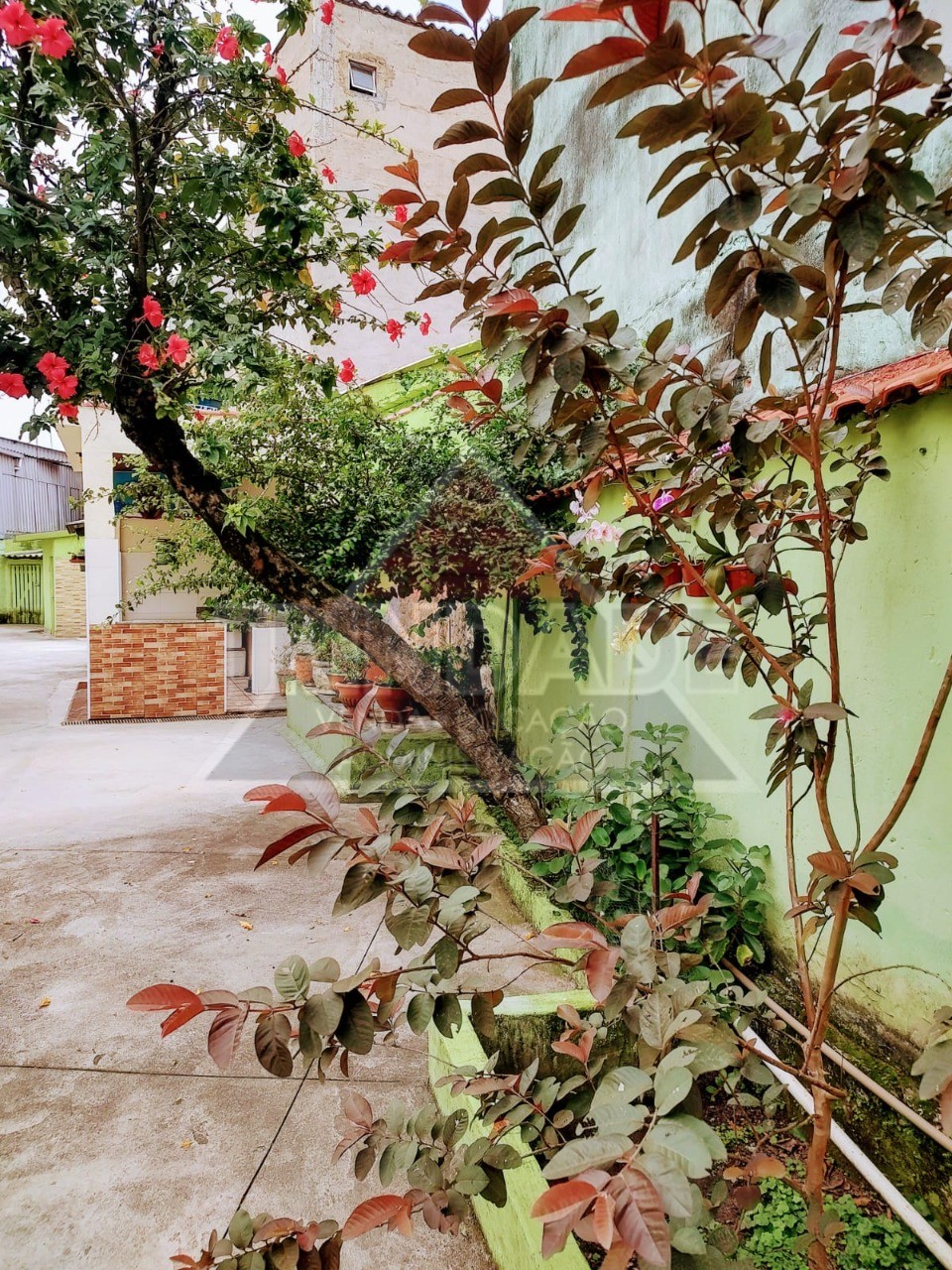 Terreno, 812 m² - Foto 3