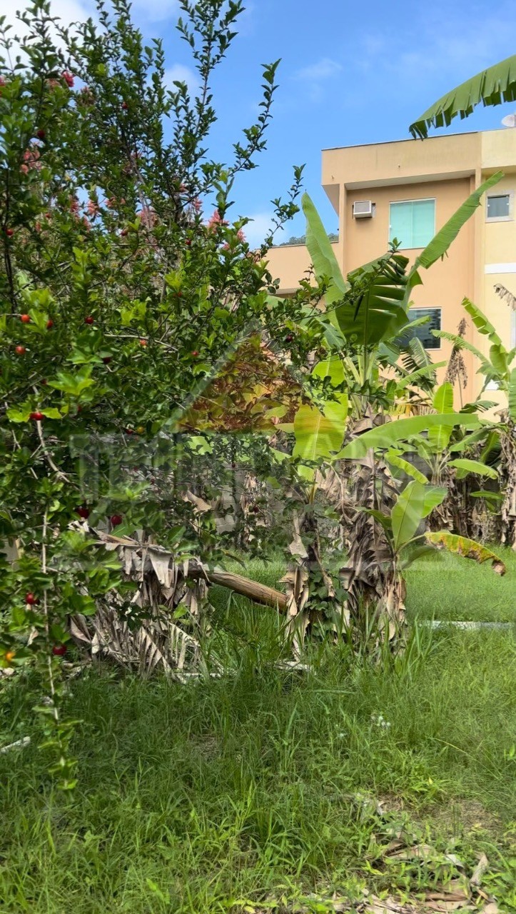 Terreno, 345 m² - Foto 7