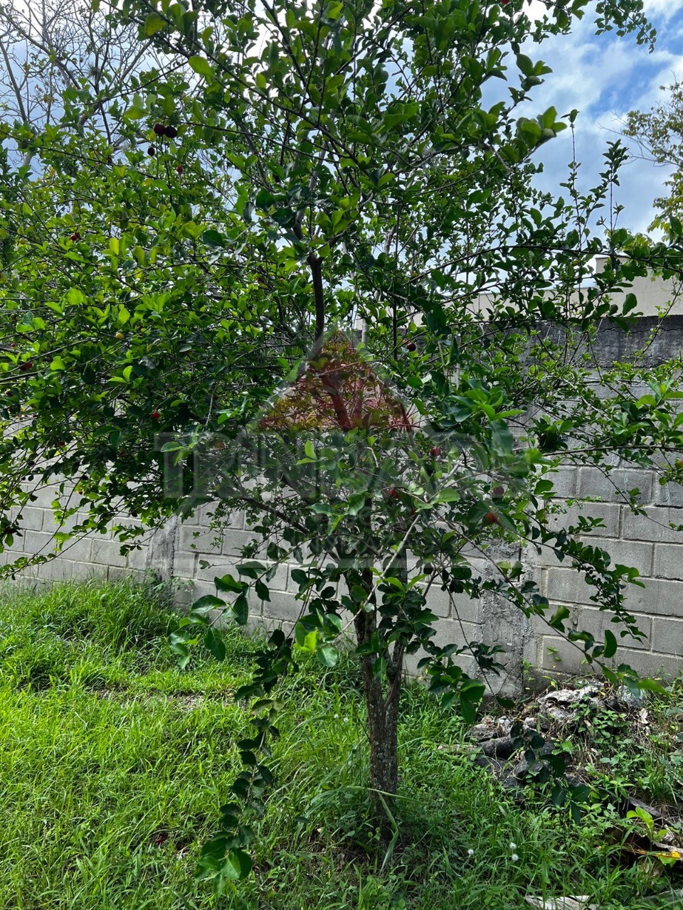 Terreno, 345 m² - Foto 10