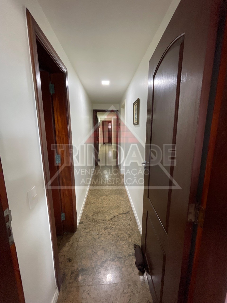 Apartamento, 4 quartos, 225 m² - Foto 5