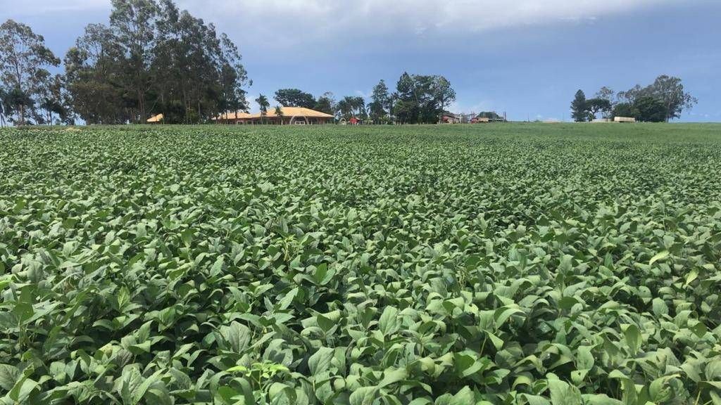 Fazenda, 1 quarto - Foto 1