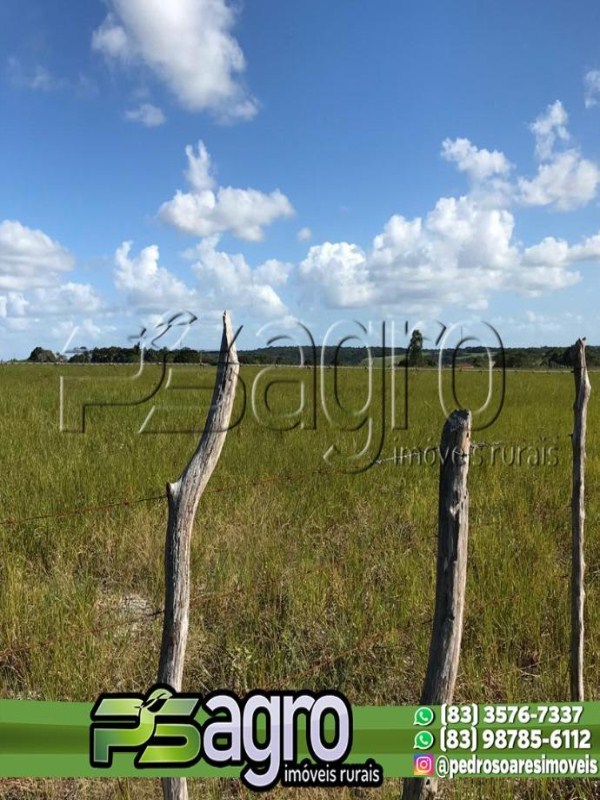 Fazenda-Sítio-Chácara, 144 hectares - Foto 1