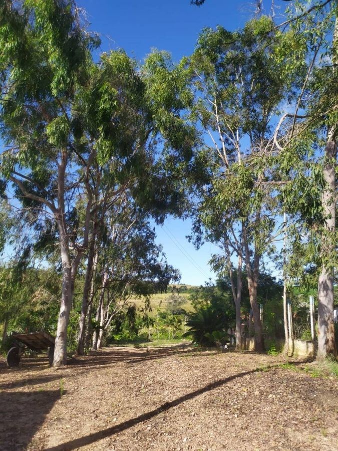 Terreno - Foto 4
