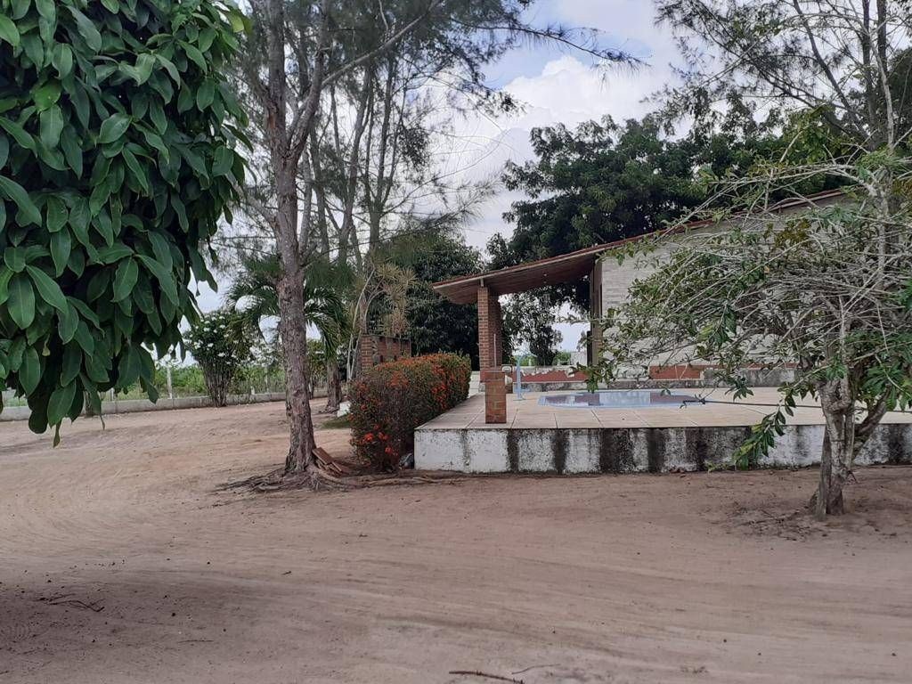Fazenda, 2000 m² - Foto 3