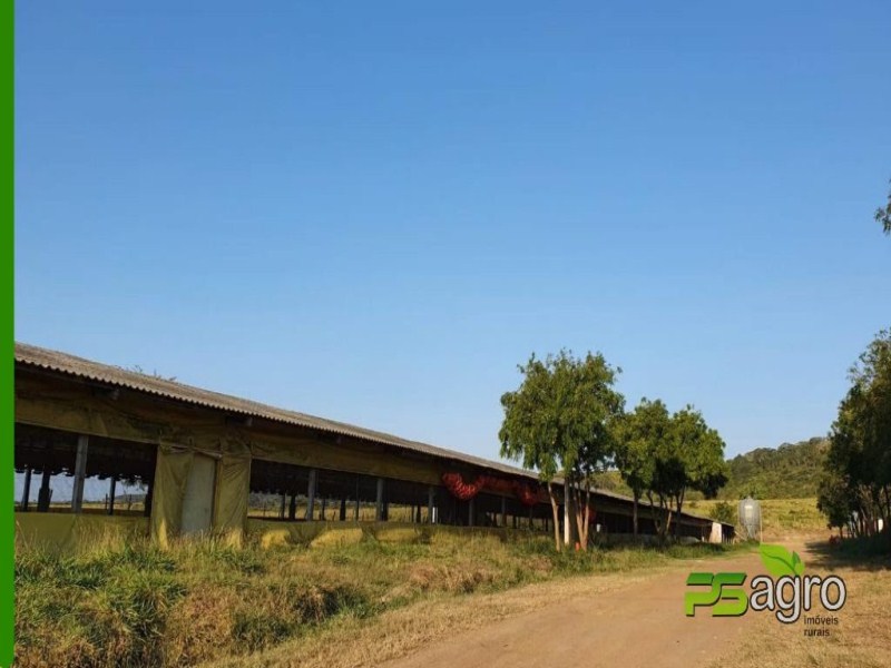 Fazenda-Sítio-Chácara, 820 hectares - Foto 1