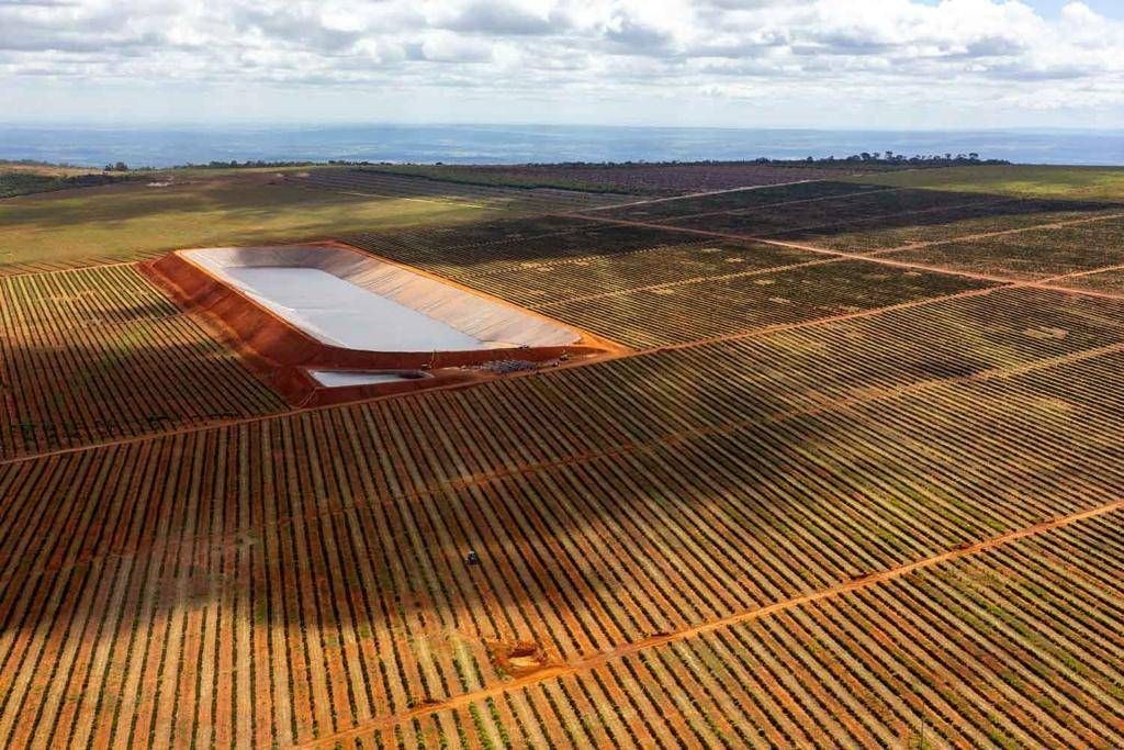 Fazenda, 3000 hectares - Foto 1