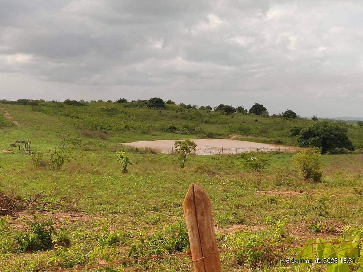 Terreno - Foto 11