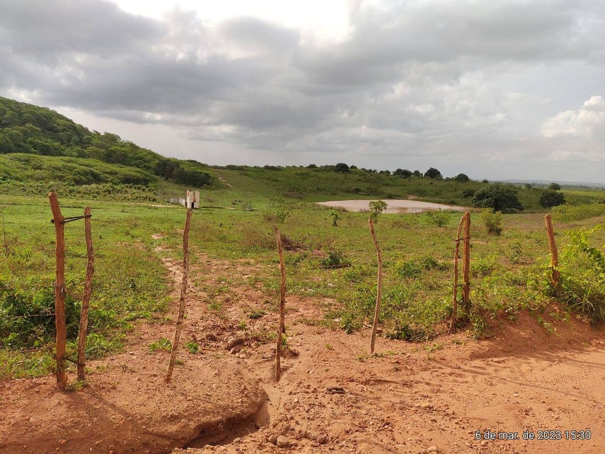 Terreno - Foto 5