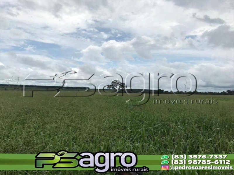 Fazenda-Sítio-Chácara, 12250 hectares - Foto 4