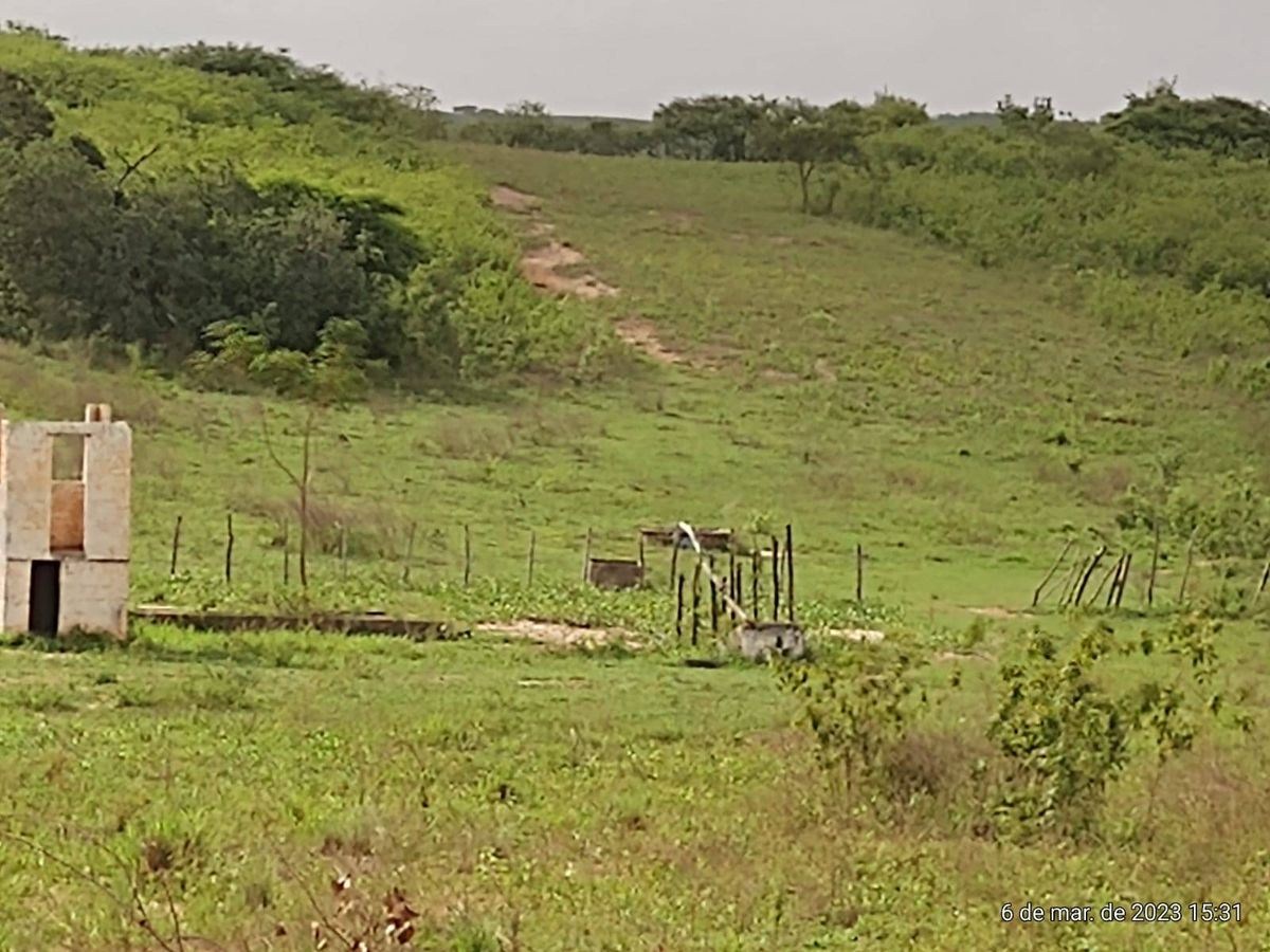 Terreno - Foto 10