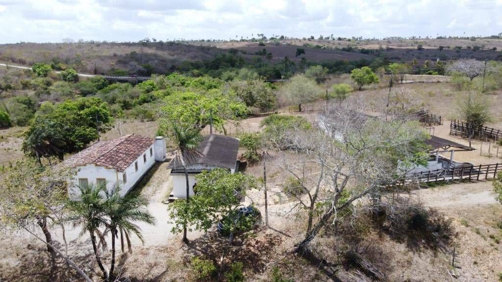 Fazenda, 1 quarto - Foto 24