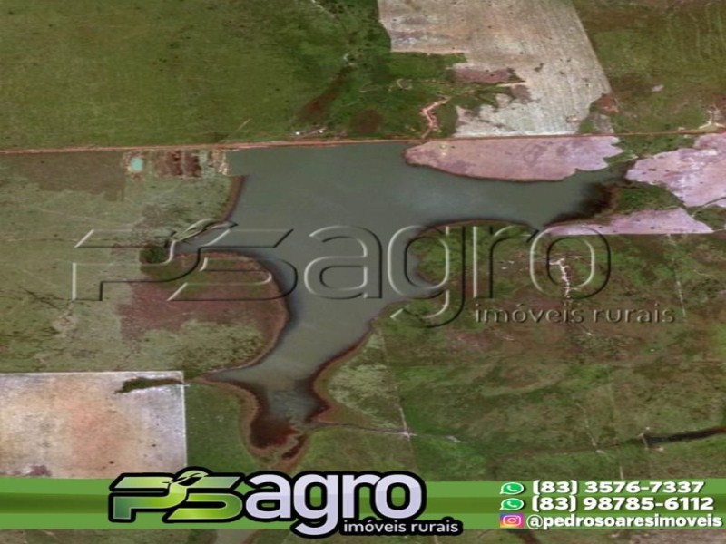 Fazenda-Sítio-Chácara, 42000 hectares - Foto 2