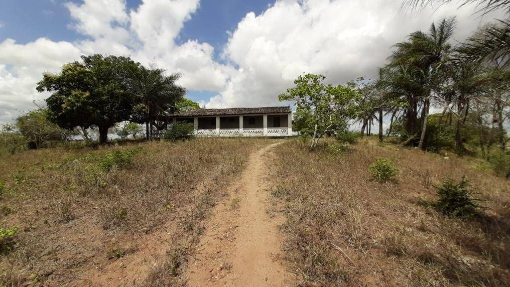 Fazenda, 1 quarto - Foto 11
