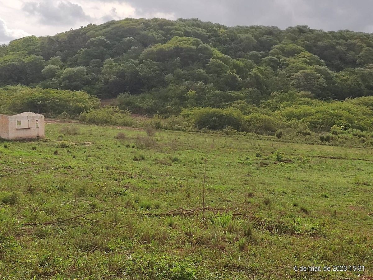 Terreno - Foto 1