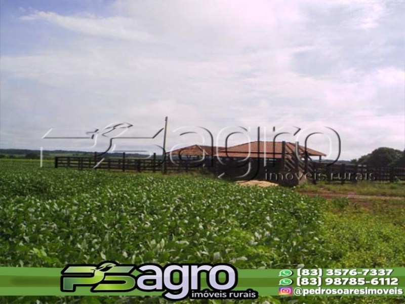 Fazenda-Sítio-Chácara, 100000 hectares - Foto 4