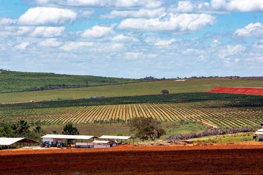 Fazenda, 3000 hectares - Foto 6