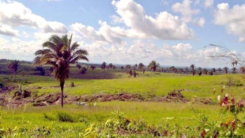 Fazenda 59.000 hectares no Sul do Pará, a venda por R$3.000.000.000,00.