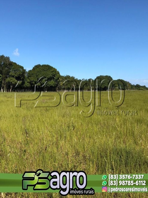 Fazenda-Sítio-Chácara, 144 hectares - Foto 4