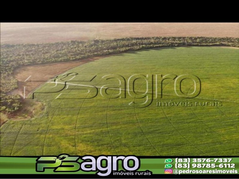 Fazenda-Sítio-Chácara, 58000 hectares - Foto 1