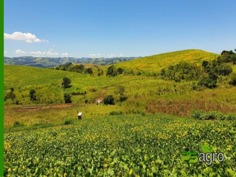 Fazenda-Sítio-Chácara, 2360 hectares - Foto 1