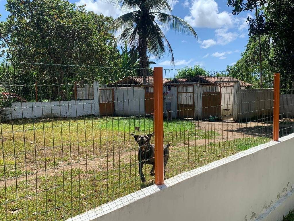Sítio, 3 quartos, 7278 m² - Foto 10
