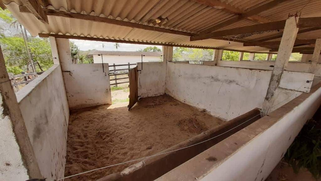 Fazenda, 1 quarto - Foto 14