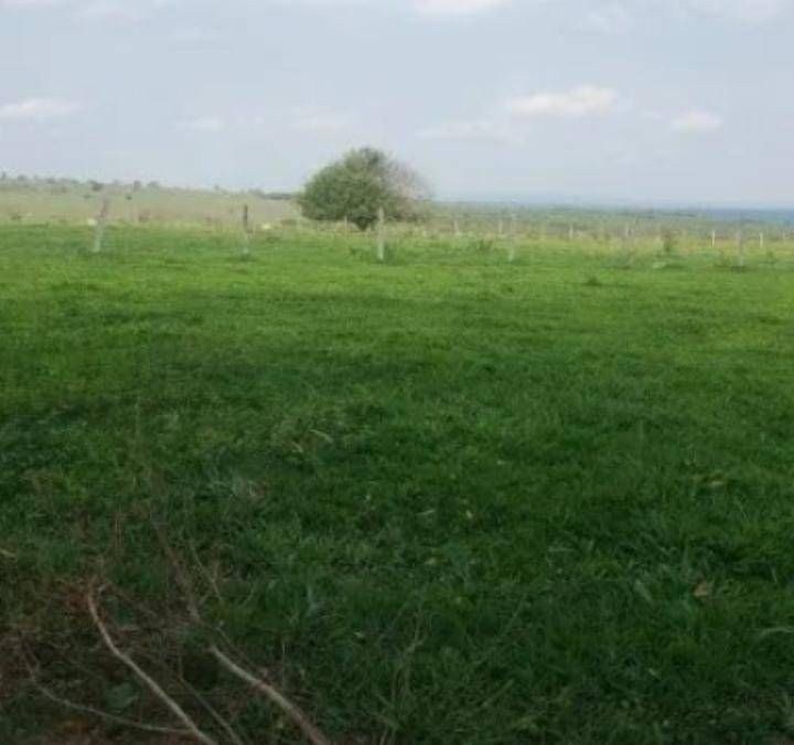 Fazenda - Foto 6