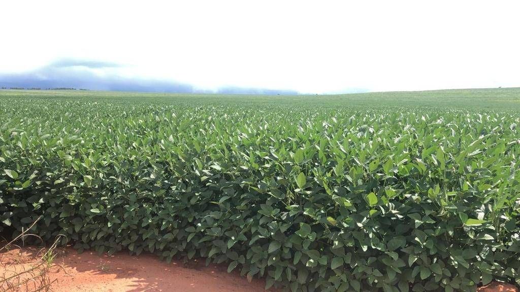 Fazenda, 1 quarto - Foto 17