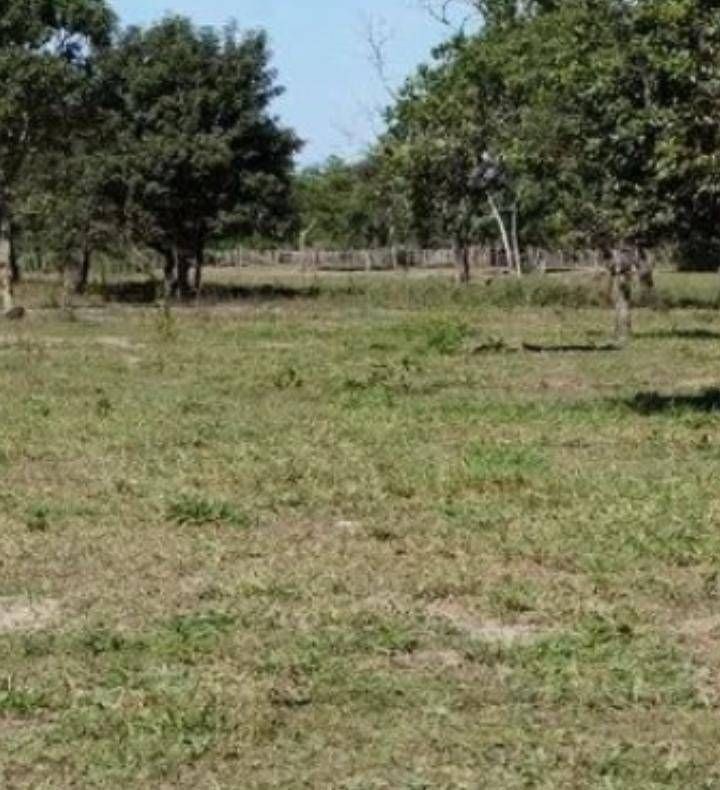 Fazenda - Foto 3