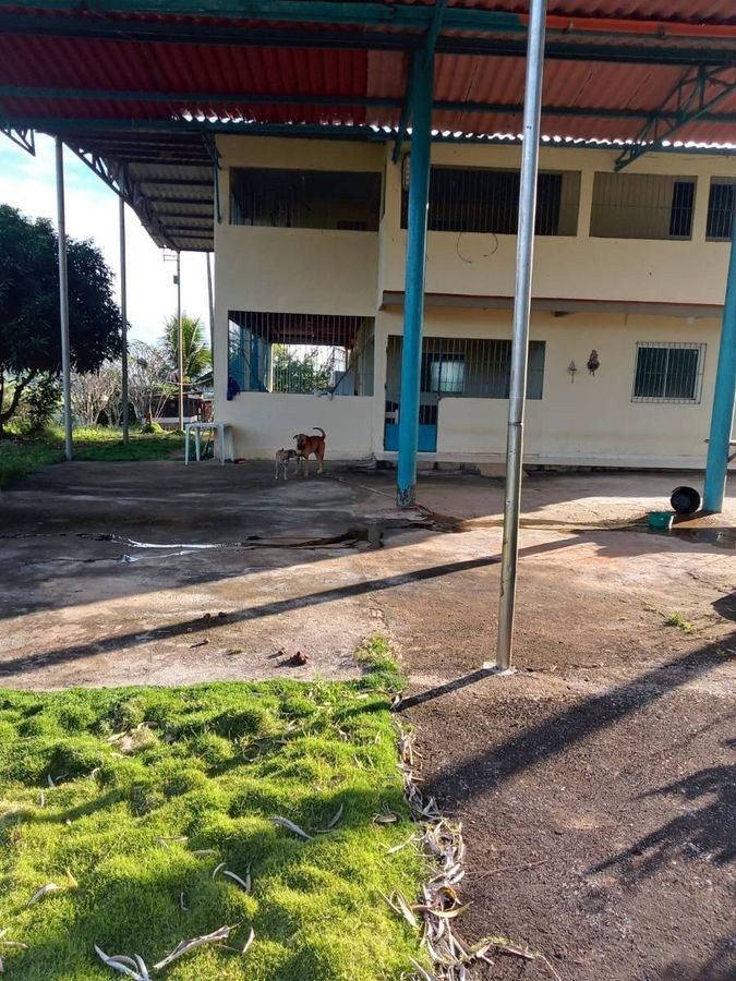 Fazenda, 3 hectares - Foto 3