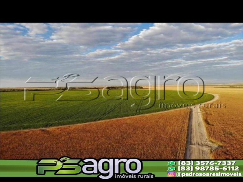 Fazenda-Sítio-Chácara, 58000 hectares - Foto 2