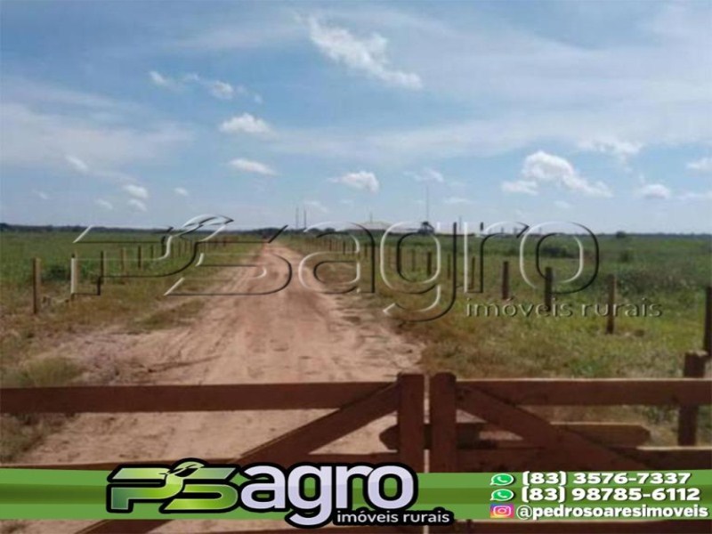 Fazenda-Sítio-Chácara, 6400 hectares - Foto 1