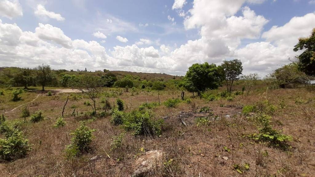 Fazenda, 1 quarto - Foto 20