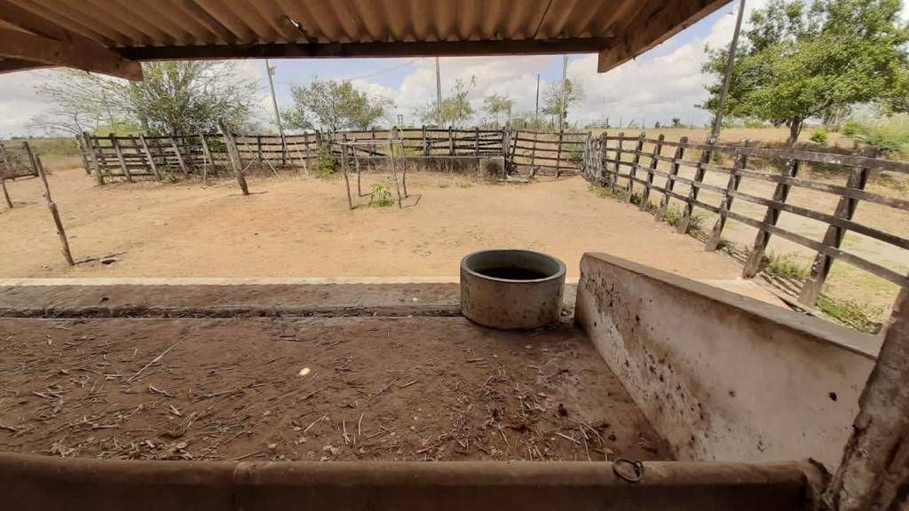 Fazenda, 1 quarto - Foto 15