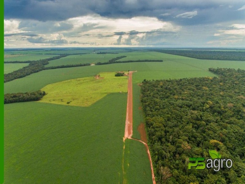 Fazenda-Sítio-Chácara, 3600 hectares - Foto 1