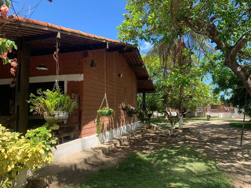 Sítio, 3 quartos, 7278 m² - Foto 11