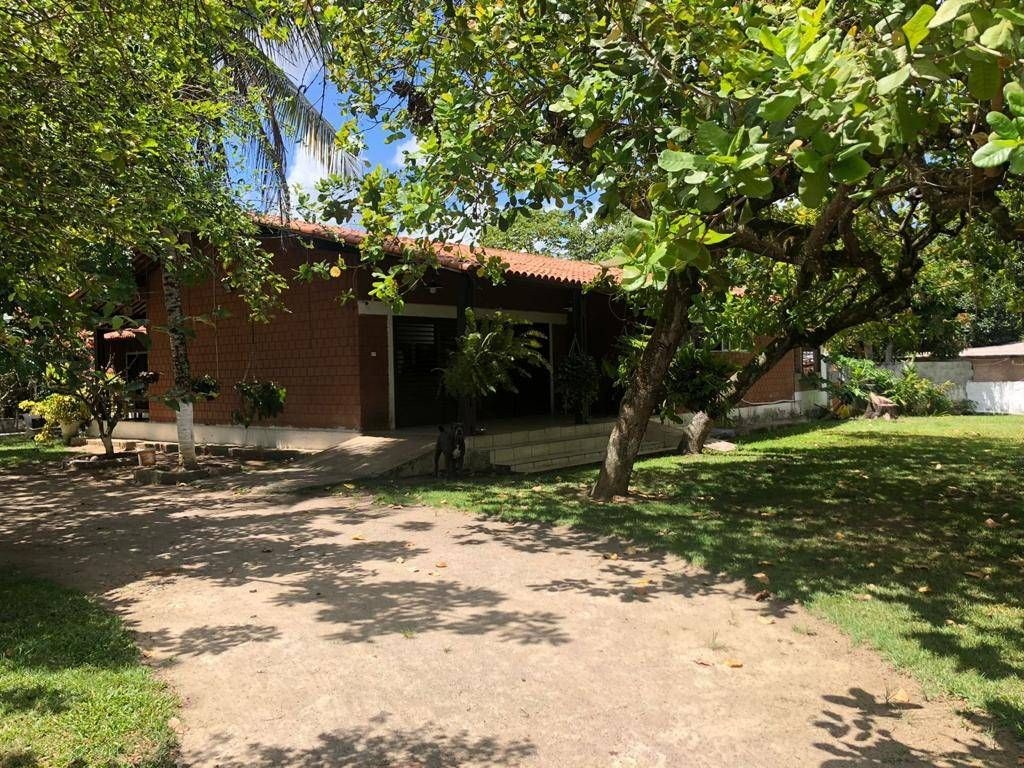 Sítio, 3 quartos, 7278 m² - Foto 13