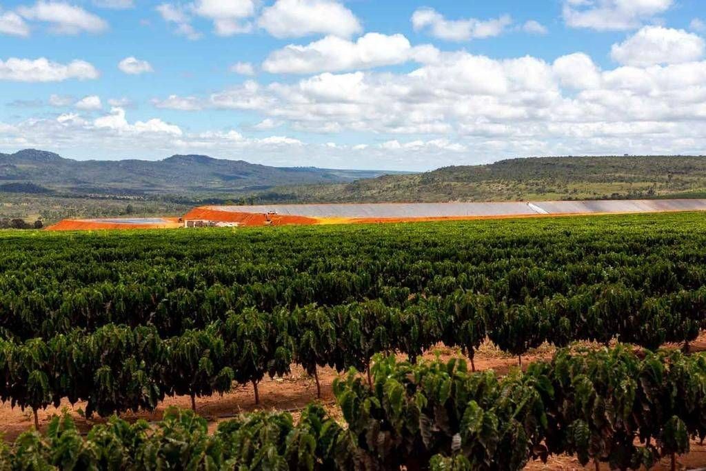 Fazenda, 3000 hectares - Foto 8