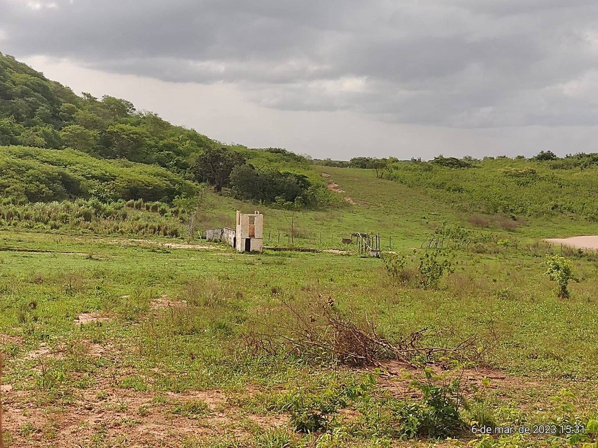 Terreno - Foto 12
