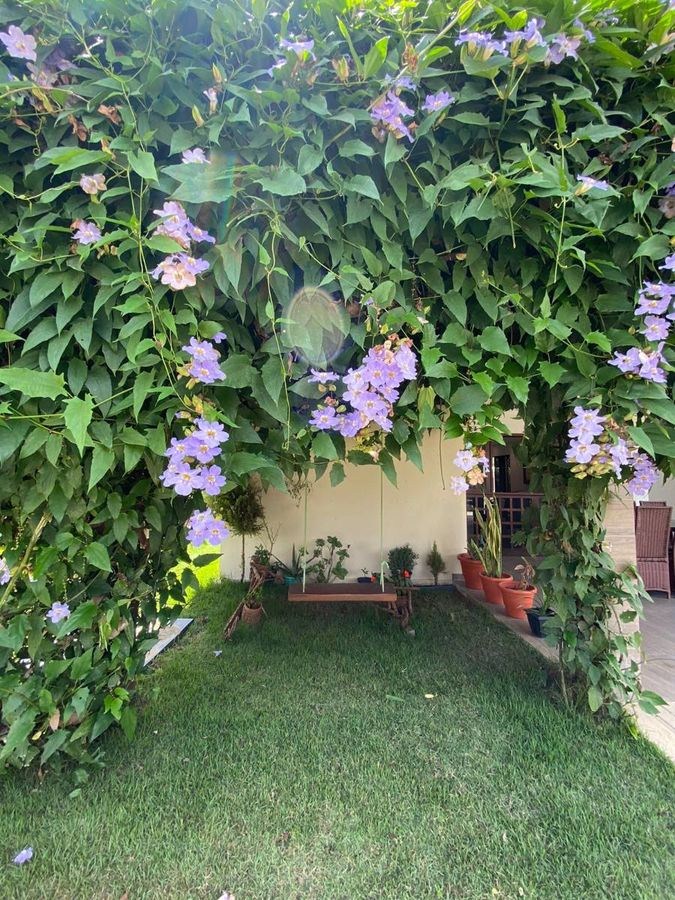 Casa em Condomínio Fechado 320m2 com 05 Quartos em Bananeiras á venda por 1.200.000,00