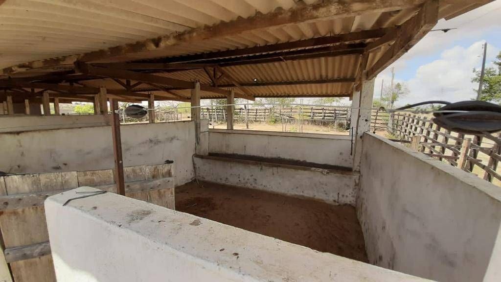 Fazenda, 1 quarto - Foto 7