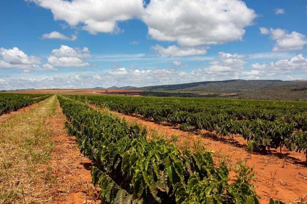 Fazenda, 3000 hectares - Foto 9