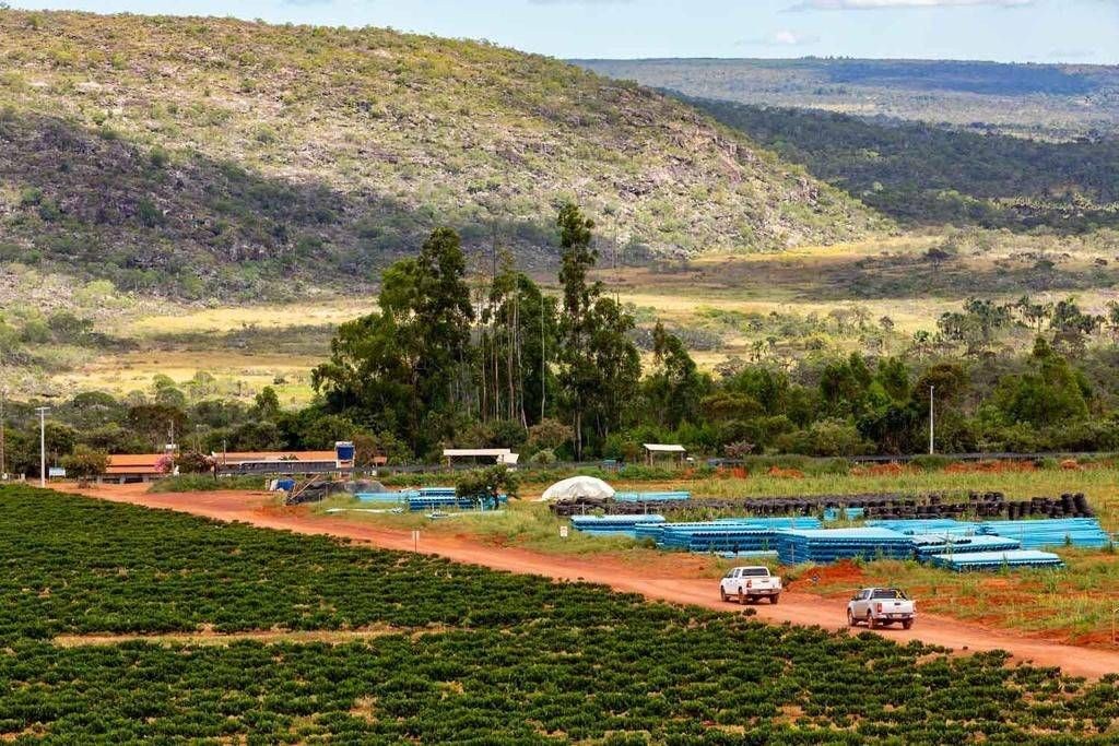 Fazenda, 3000 hectares - Foto 7