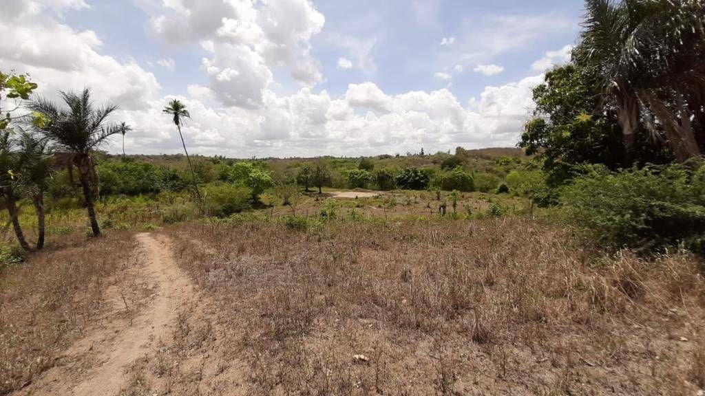Fazenda, 1 quarto - Foto 3