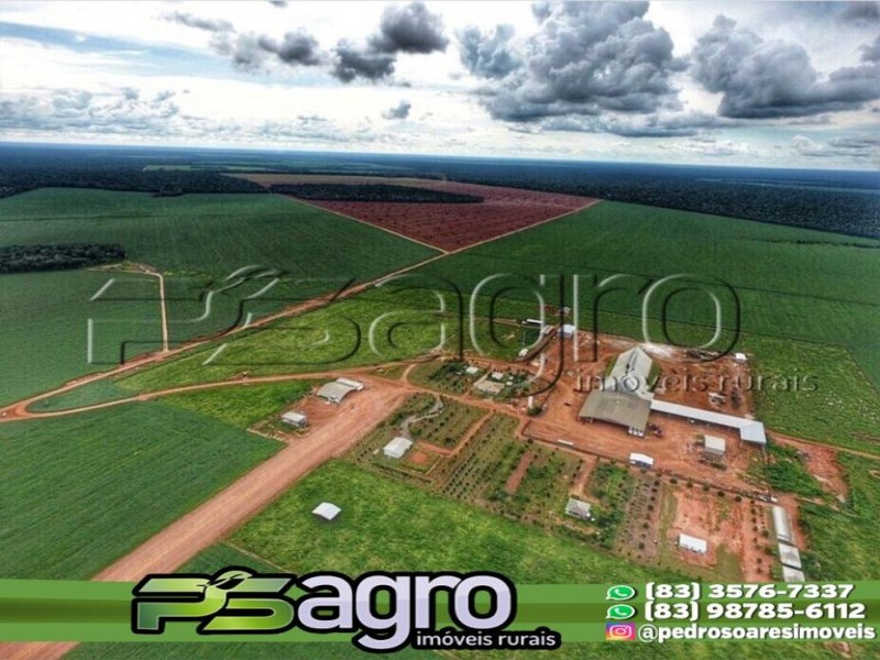 Fazenda-Sítio-Chácara, 5200 hectares - Foto 1