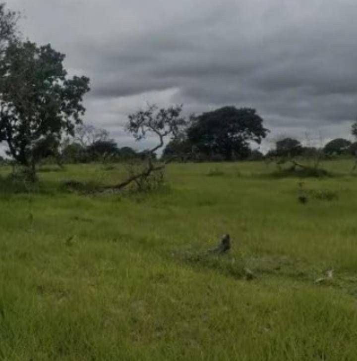 Fazenda - Foto 9